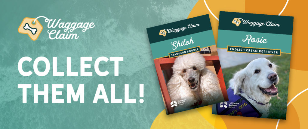 Waggage Claim Trading Cards - Mobile View
